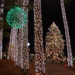 Columns, blossoms and a christmas tree of led lights on display