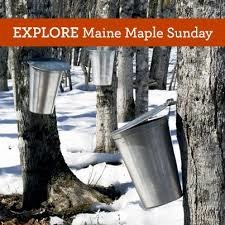 Maine Maple Sunday