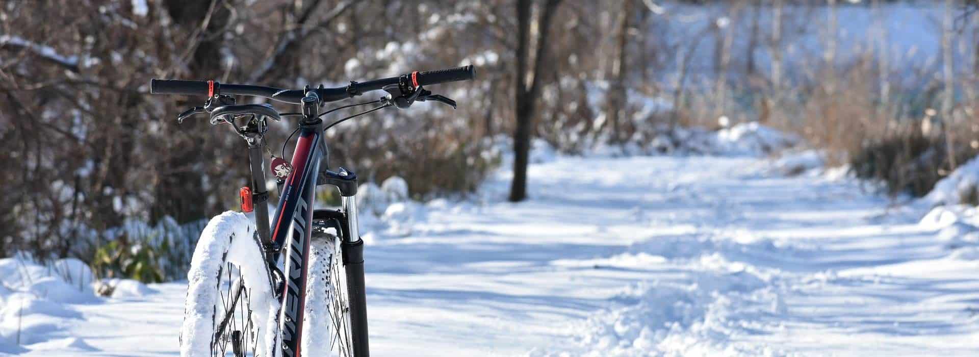 Mountain bike with snow covered tires on snow path surrounded by trees