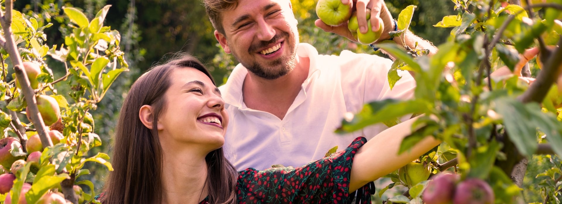 Happy couple smiling while picking apples at an orchard
