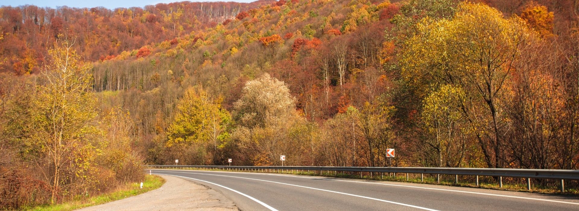 a road winding through fall foliage