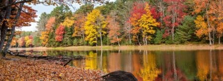 fall foliage reflects on the water at a lake in maine