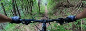 Two people mountain biking through a forest