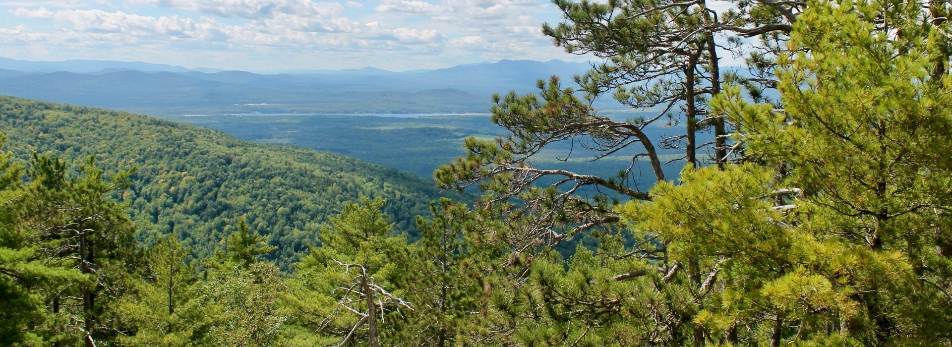 a view of green mountains in the distance from a hiking trail in maine