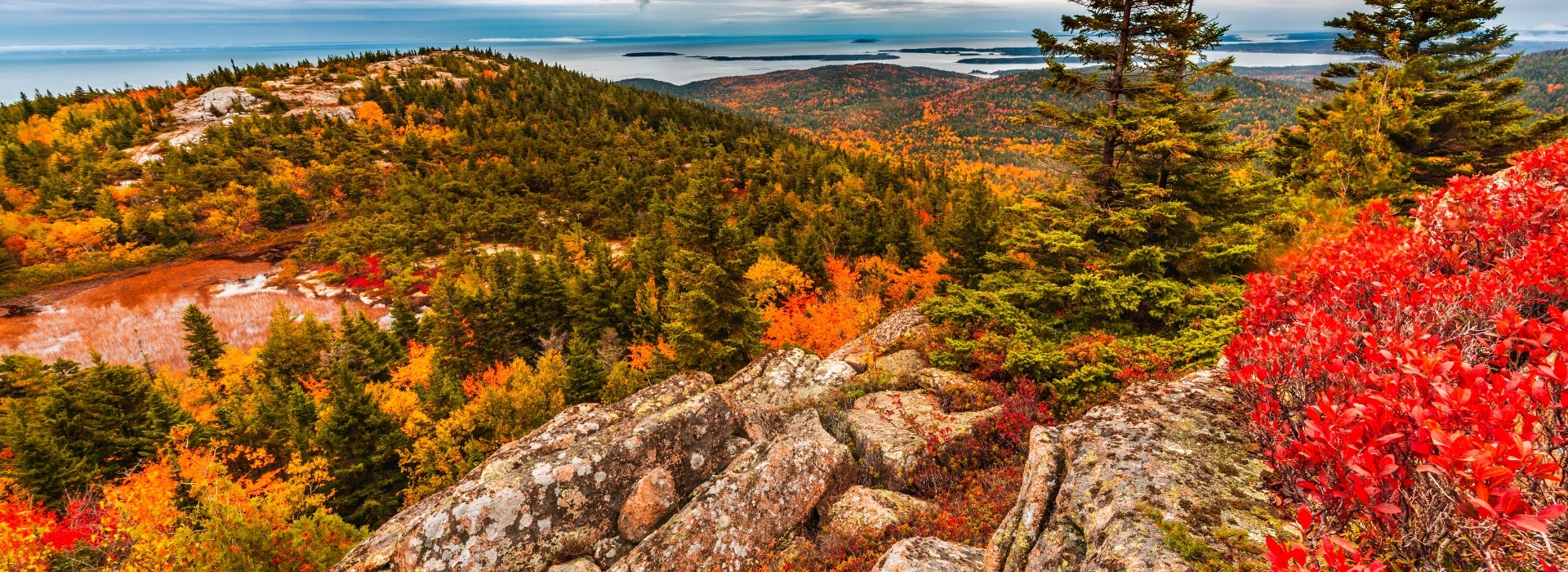 Fall foliage atop Cadillac Mountain in Acadia National Park Maine
