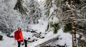 woman in red jacket crossing snowy bridge in the winter woods